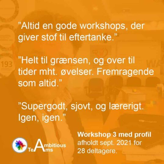 Workshop med Insights Personprofil.